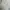 Celana Cargo baggy Oversize Howell 30-33 photo 2