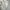Celana Cargo baggy Oversize Howell 30-33 photo 3
