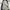 Levi’s Pattern Baggy Pants Wide Leg