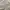 Nba Pullover Hoodie White photo 9