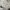 Nba Pullover Hoodie White photo 3