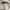 Nba Pullover Hoodie White photo 6