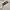 Nba Pullover Hoodie White photo 5