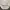 Nba Pullover Hoodie White photo 4