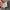 RARE GOA Selvedge Denim Distressed Jacket Hair on  Hide Patc photo 8