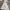 Adidas Tango Men’s Windbreaker White photo 9