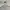 Adidas Tango Men’s Windbreaker White photo 6