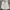 Adidas Tango Men’s Windbreaker White photo 4