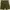 ALPHA INDUSTRIES ARMY CARGO photo 3
