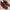 ECCO St.1 Wingtip Cognac Made in Portugal photo 6