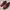 ECCO St.1 Wingtip Cognac Made in Portugal photo 5