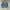 Vintage 90’s Grunge Y2k Style Ramones Jacket Houston USA  photo 1