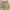 Oakley Enhance Fgls 1.0 Short Pants photo 5
