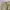 Oakley Enhance Fgls 1.0 Short Pants photo 3