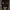 yecci stripped long sleeve photo 1