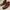 CLARKS Brogue Raspin Limit Tobacco Suede photo 5