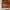 CLARKS Brogue Raspin Limit Tobacco Suede photo 7