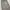 L13 BAGGY SWEATPANTS GREY photo 4