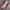 Converseee Ct70s Low Red photo 4