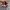 Converseee Ct70s Low Red photo 5