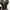 YSL Yves Saint Laurent Tribute 105 In Animal Print Point Pon photo 6