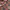 EASTLOGUE RED AND NAVY PATCHWORK  photo 5