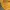 Oakley Vintage Sportswear Jersey Pria yellow photo 3