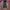 ACTIVE JACKET CANVAS BY UNTITLED MEN photo 2