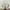 Coach Vintage Tote bag Wanita white gray photo 1