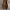 Vansss Authentic Beige photo 6