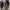 Nike Sneaker V2K Run Wolf Grey Colour/Midnight Navy  photo 4