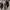 Nike Sneaker V2K Run Wolf Grey Colour/Midnight Navy  photo 3