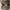 Maison Margiela GAT Shoes Black Charcoal photo 5