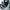 Vans authentic, skateboard Converse avantgarde y2k  photo 6