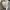 Jacket Blocktech Unbrand White photo 3