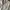 Jacket Blocktech Unbrand White photo 4