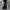 Boy London Joggers Pant size on tag Medium photo 3
