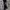 Boy London Joggers Pant size on tag Medium photo 1