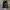 Track Jacket Ecko Unltd Black photo 1