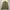 Minimalist Casual Windbreaker Pria Gold