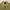 Minimalist Casual Windbreaker Pria gold photo 3