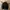 SPAO for Men Black Strecth Trucker Jacket photo 1