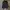 Jacket Outdoor The North Face Black photo 1