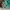 Tracktop Adidas Trefoil Green Lime photo 4