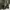 Avirex vintage army photo 9
