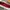 vans red chili photo 3