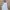 Bershka floral bubble sweater bunga putih floral photo 1