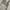 Vintage Reverseable Flight Jacket White Wmbroidery photo 4