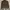 Authentic S🅰️ndy Bay Harrington Corduroy Jacket Brown photo 8