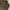 Authentic S🅰️ndy Bay Harrington Corduroy Jacket Brown photo 2